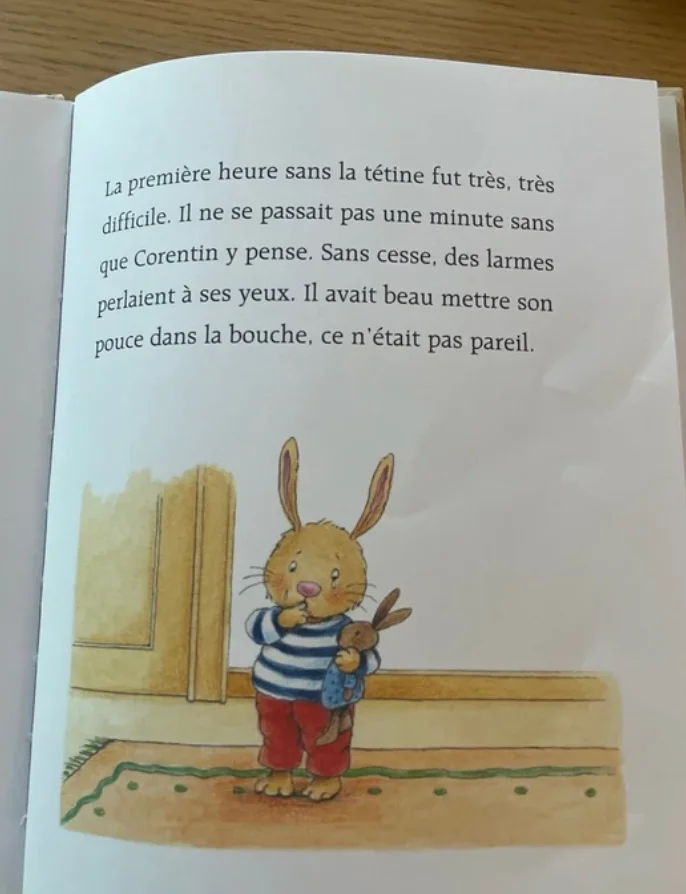 Livre  adieu, Tétine ! – photo 3